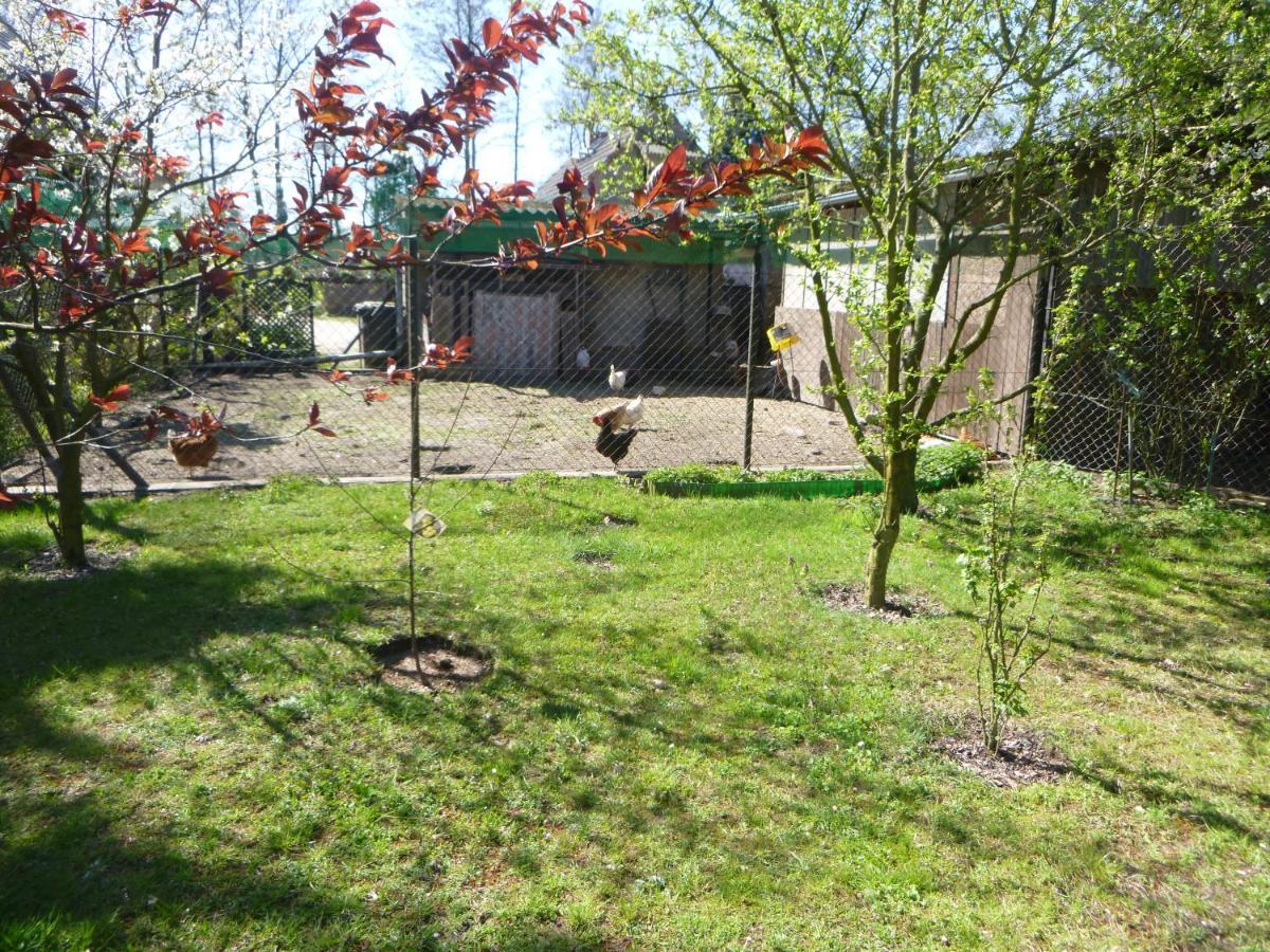 Maja Villa Guhrow Bagian luar foto