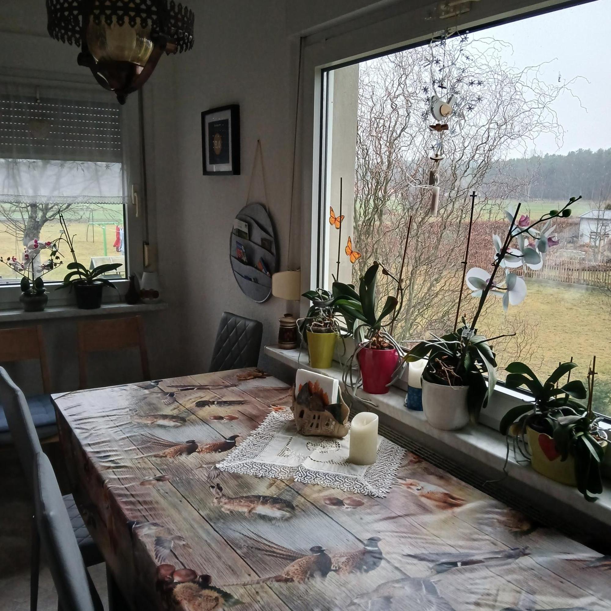 Maja Villa Guhrow Bagian luar foto