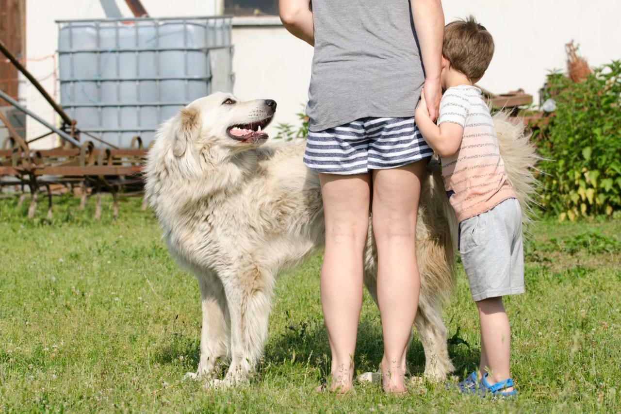 Maja Villa Guhrow Bagian luar foto
